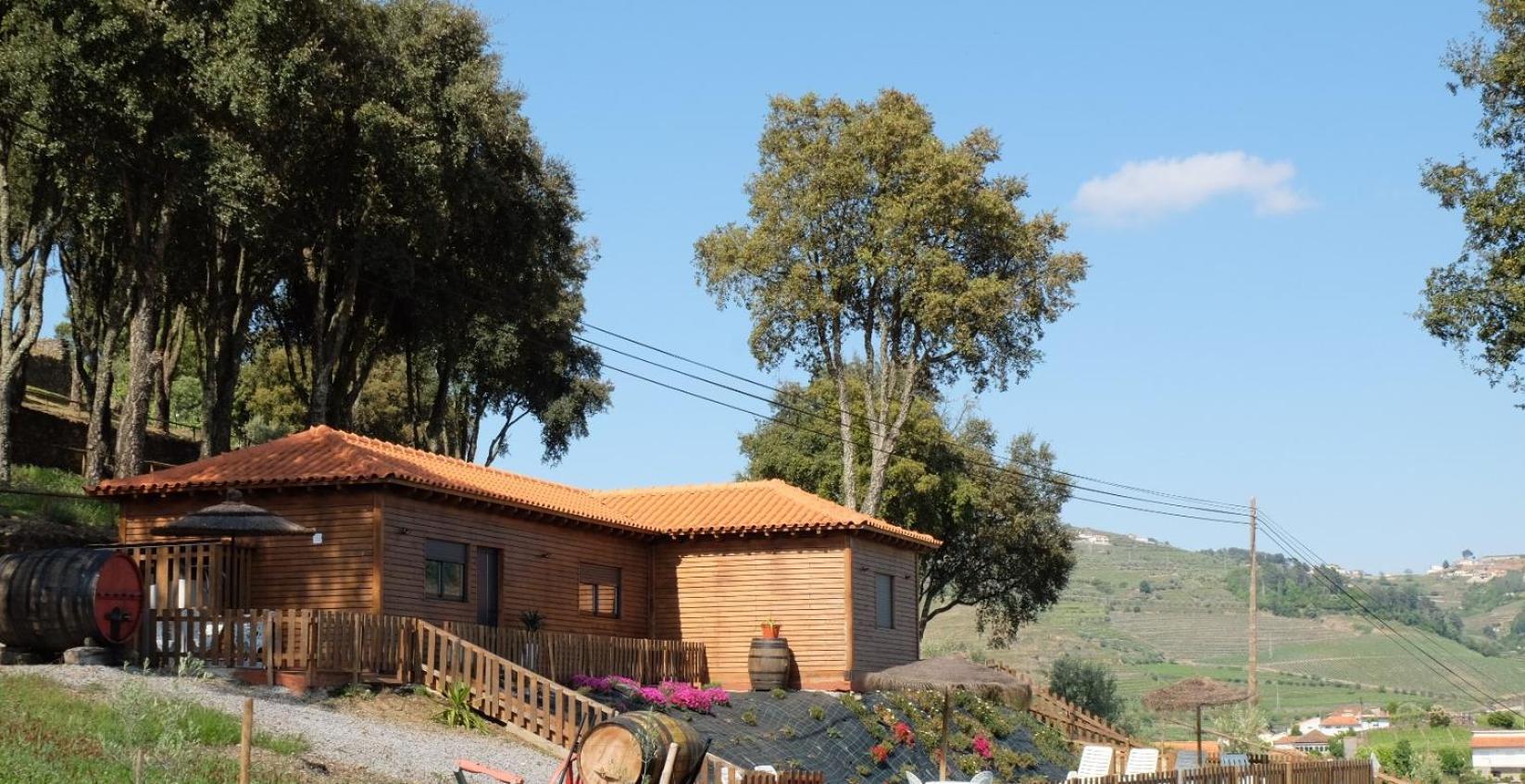 Villa Quinta Da Bandeira - Casa De Ferias No Douro Martir Exterior foto